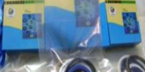 Hydraulic Seal Kit
