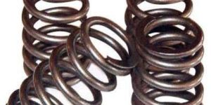Valve Springs