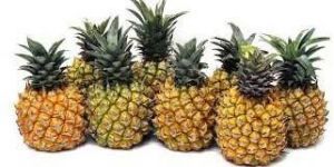 Fresh Pineapple