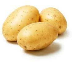 Fresh Potato