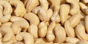 Raw Cashew Nuts