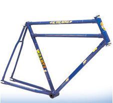Ds-56015 Bicycle Frame