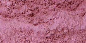 Dehydrated Pink Onion Powder