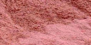 Dehydrated Red Onion Powder