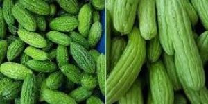 Fresh Bitter Gourd