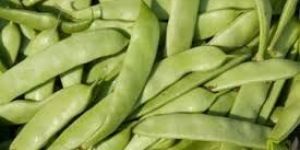 Fresh Flat Beans