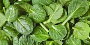 Fresh Spinach