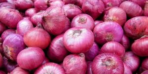 Fresh Red Onion