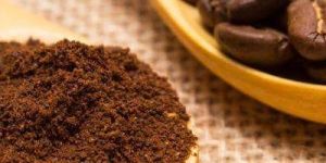 Green Coffee Bean Powder