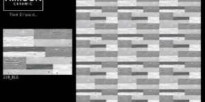 3D ELEVATION SERIES Tiles