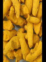 Turmeric Finger