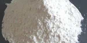 Maize Starch Powder