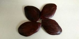 Agbandu Natural Seed