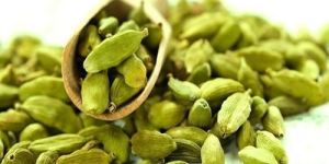 Green Cardamom