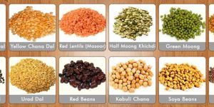 Indian Pulses