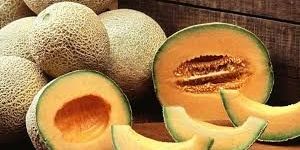 Fresh Muskmelon