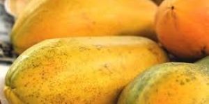 Fresh Papaya