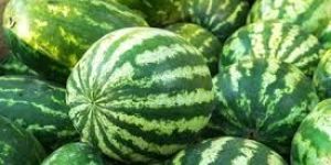Fresh Watermelon