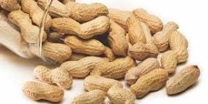 Shelled Peanuts