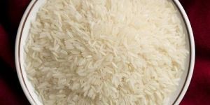Jasmine Rice