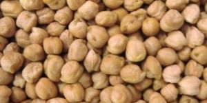 White Chana