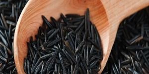 Wild Rice