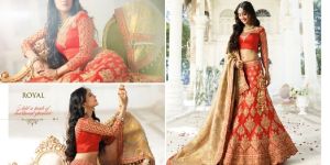 Ladies Party Wear Lehenga
