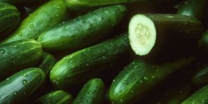 Fresh Cucumber