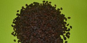 Brown Raisins