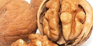 Shelled Walnuts