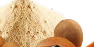 Spray Dried Chikoo Powder