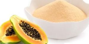 Spray Dried Papaya Powder