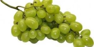 Fresh Grapes