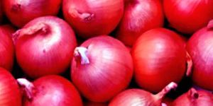 Fresh Red Onion