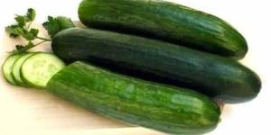 Fresh Cucumber