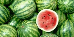 Fresh Watermelon
