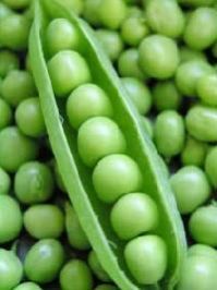 Fresh Green Peas