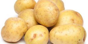 Fresh Potato