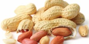 Shelled Groundnuts