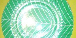 Green Colour Paper Plate
