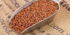 Organic Red Rice