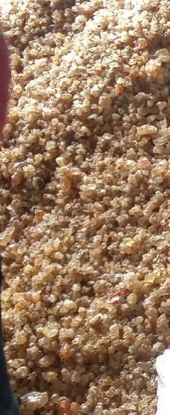 Asian Gum Ghatti