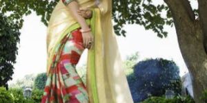 Shaily Multi Color Party Wear Georgette Saree