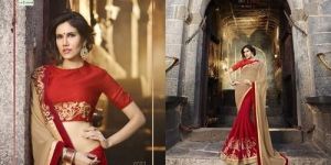 Stunning Designer Saree