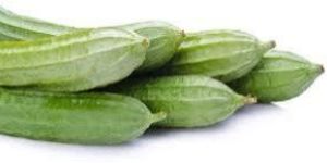 Fresh Ridge Gourd