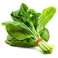 Fresh Spinach Leaves