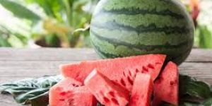 Fresh Watermelon