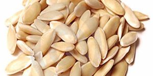 Muskmelon Seeds