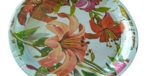 Printed Paper Plates