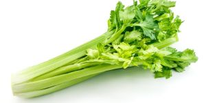 Fresh Celery